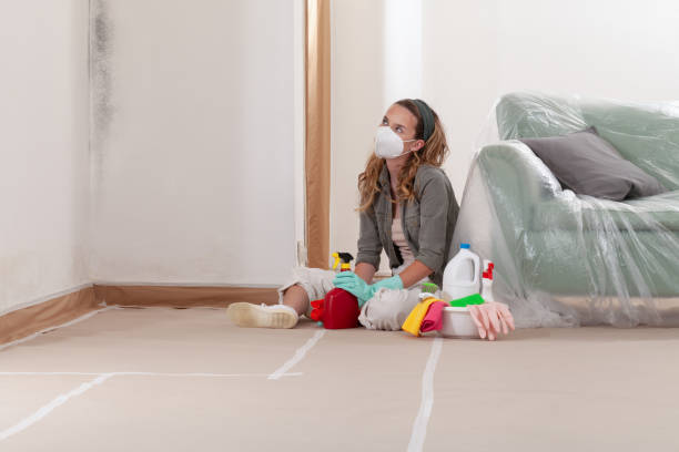 Reliable Mold Remediation contractor in Kentucky, KY by 24 Hour Mold Removal